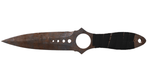 Rust Coat image