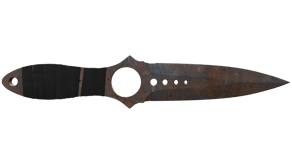Rust Coat image