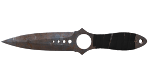 Rust Coat image