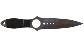 Rust Coat image