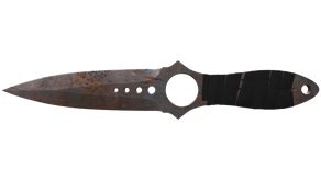Rust Coat image