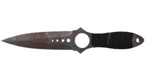Rust Coat image