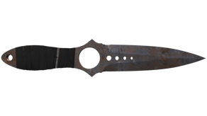 Rust Coat image