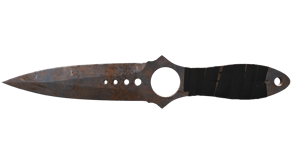 Rust Coat image
