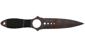 Rust Coat image
