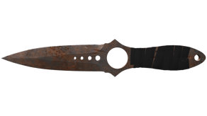 Rust Coat image