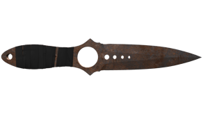 Rust Coat image