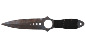 Rust Coat image