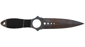 Rust Coat image