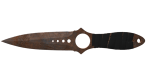 Rust Coat image