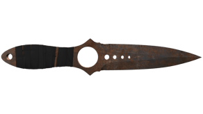 Rust Coat image