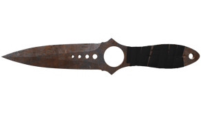 Rust Coat image