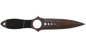 Rust Coat image