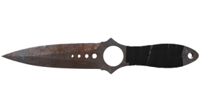 Rust Coat image
