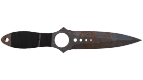 Rust Coat image
