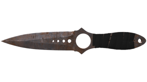 Rust Coat image