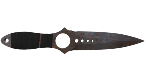 Rust Coat image