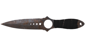 Rust Coat image