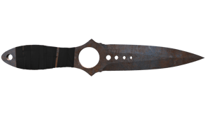 Rust Coat image