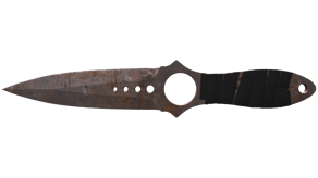 Rust Coat image