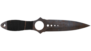 Rust Coat image
