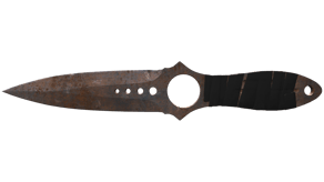 Rust Coat image