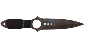 Rust Coat image