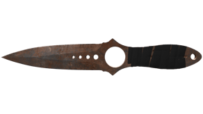 Rust Coat image