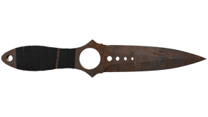 Rust Coat image