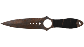 Rust Coat image