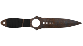 Rust Coat image