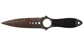 Rust Coat image
