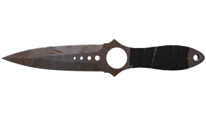 Rust Coat image