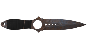 Rust Coat image