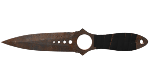 Rust Coat image