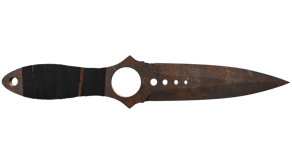 Rust Coat image