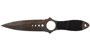 Rust Coat image