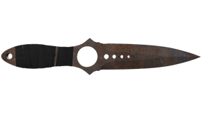 Rust Coat image