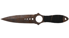 Rust Coat image