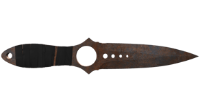Rust Coat image