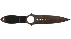 Rust Coat image