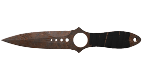 Rust Coat image