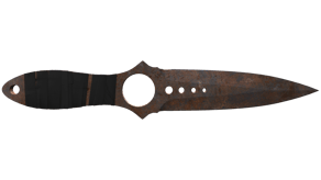 Rust Coat image