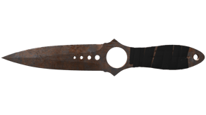 Rust Coat image