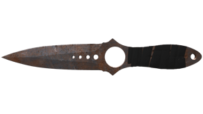 Rust Coat image