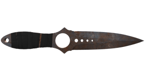 Rust Coat image