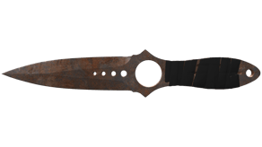 Rust Coat image