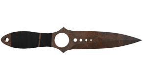 Rust Coat image