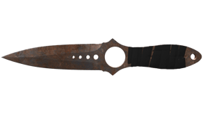 Rust Coat image
