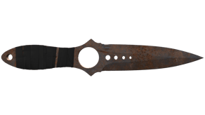 Rust Coat image